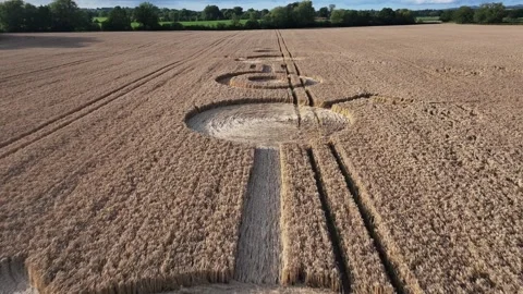 Led Zeppelin Crop Circle, Low 4K Drone Clip, Rushock, UK, 16th July 2023 Stock Footage 266442485
