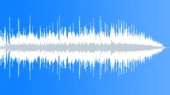LediZain - Maybe not right (acoustic version 2011) Stock Music