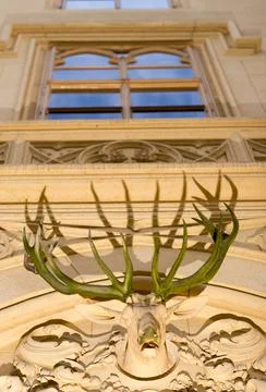 Lednice Czech Rep May 28th 2016. Detail of a deer antler head on a Lednice Stock Photos