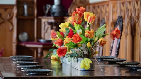 Lednice, Czech Republic - July 19, 2026: Orange and yellow parrot tulips on a Stock-Footage 342286387