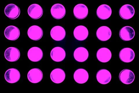 LEDs Stock Photos