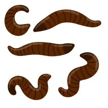 Leech. Set of bloodsucking insects. Stock Illustration