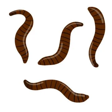 Leech. Set of bloodsucking insects. Stock Illustration