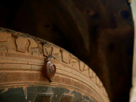 Leech water insect climbing on car tyre, risky insect life concept. Fotos de archivo