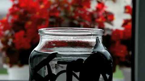 Leeches Stock Footage 9639576