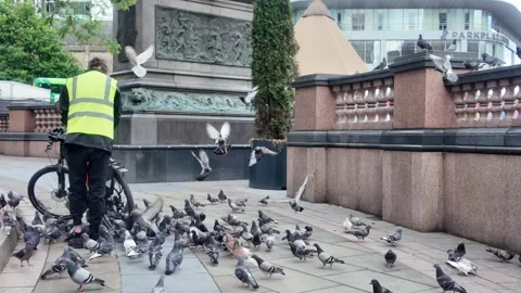 Leeds War Memorial - Man Feeding Pigeons in City Square. Video stock 338217982