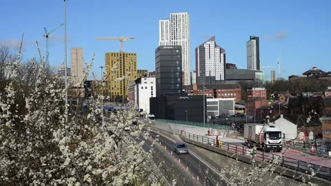 Leeds,yorkshire. 4th, October, 2025 springtime blossom trees in city centre Stock Footage 318345181