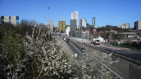 Leeds,yorkshire. 4th, October, 2025 springtime blossom trees in city centre Stock Footage 318345245