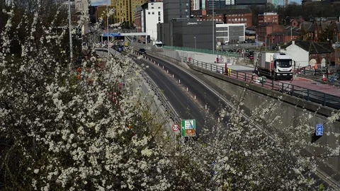 Leeds,yorkshire. 4th, October, 2025 springtime blossom trees in city centre Stock Footage 318345451