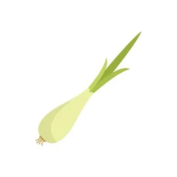 Leek chive icon flat vector. Fresh garlic Illustrazione stock