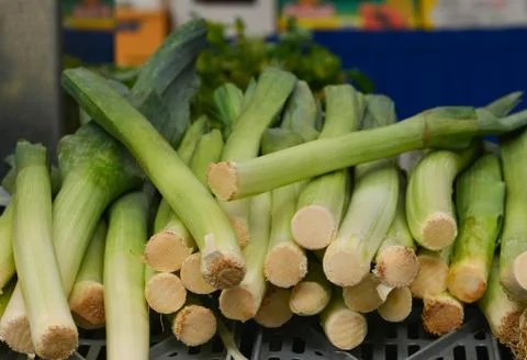 Leek on the counter Foto stock