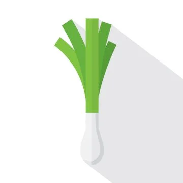 Leek Flat Design Vector Illustration Stock Illustration