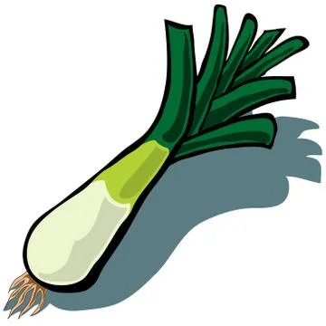 Leek Illustrazione stock