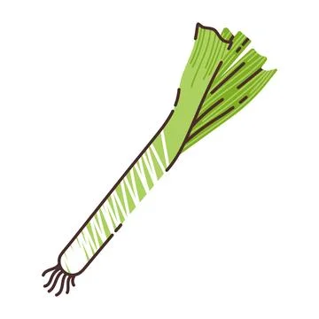 Leek isolated on white background. Flat modern vector illustration. 스톡 일러스트