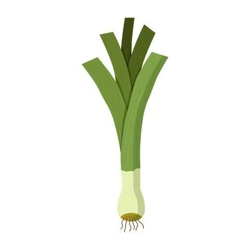 Leek or onion icon in flat style. Vegetable and salad vector illustration o.. Stock Illustration