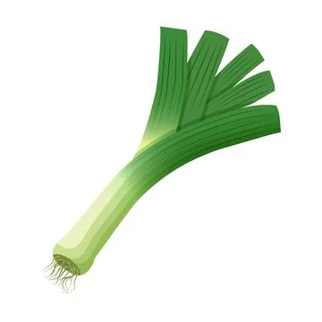 Leek or onion icon in flat style. Vegetable and salad vector illustration o.. Stock Illustration