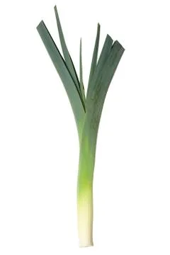 Leek over white background Stock Photos