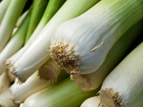 Leek Stock Photos