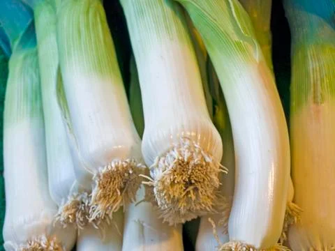 Leek Stock Photos