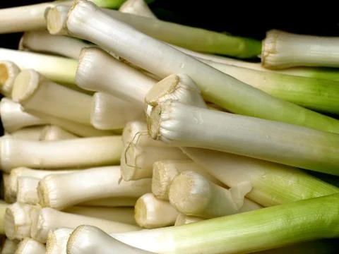 Leek Stock Photos