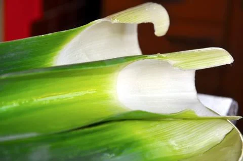 Leek Foto stock