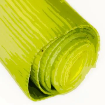 Leek stem isolated on white background Stock Photos