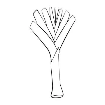 Leek in a thin line. Vector on a white background Stock Illustration