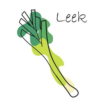 Leek vector drawing icon. Stock Illustration
