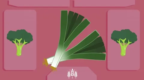 leek - Vector Graphics - Food Animation... | Stock Video | Pond5