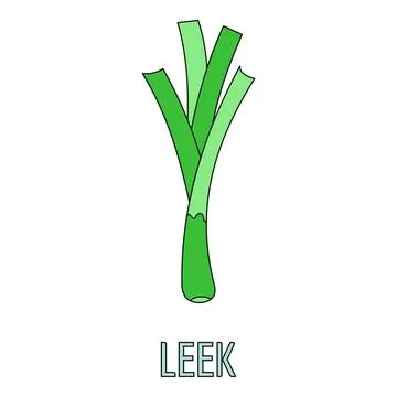Leek vegetable simple flat line drawing illustration Stock Illustration