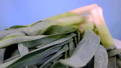 Leek vegetables 1 Stock Footage 140358964