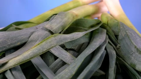 Leek vegetables 2 Stock Footage 140359027