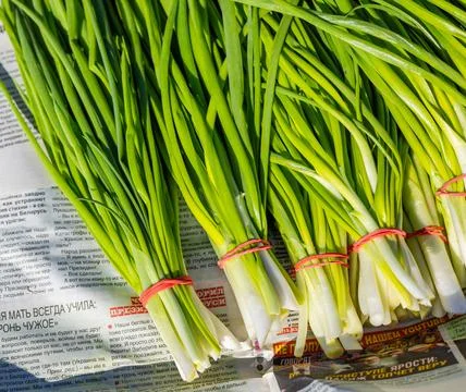 Leeks arranged in large piles on the display at the farmer's market. Green .. Stock Photos