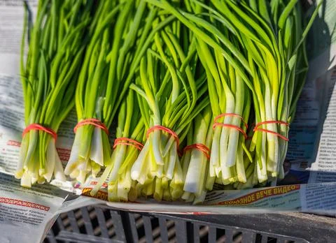 Leeks arranged in large piles on the display at the farmer's market. Green le Stock Photos