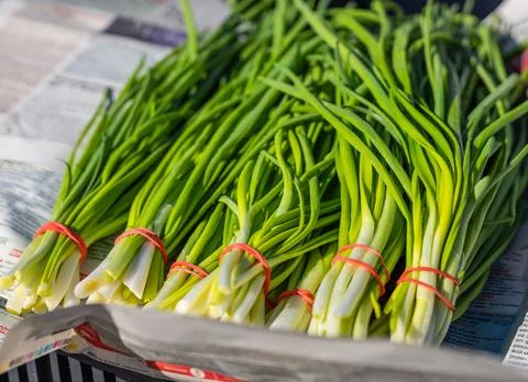 Leeks arranged in large piles on the display at the farmer's market. Green le Stock Photos
