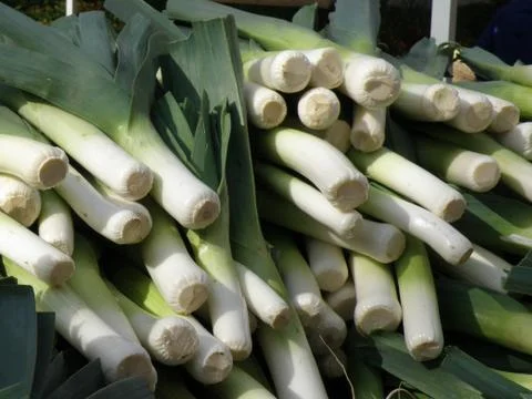Leeks on display Foto stock