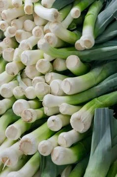 Leeks fresh and on display Stock Photos