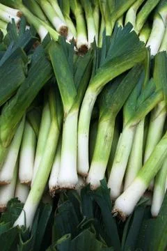Leeks at the market Stock Photos