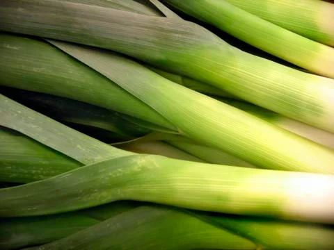 Leeks Stock Photos