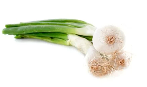 Leeks in studio Stock Photos