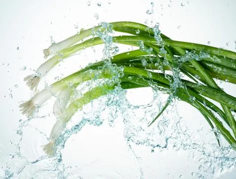 Leeks Water Splash Stock Photos