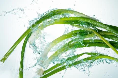 Leeks Water Splash Stock Photos