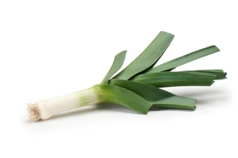 Leeks on a white background Stock Photos