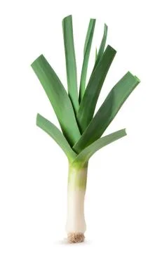 Leeks on a white background Stock Photos