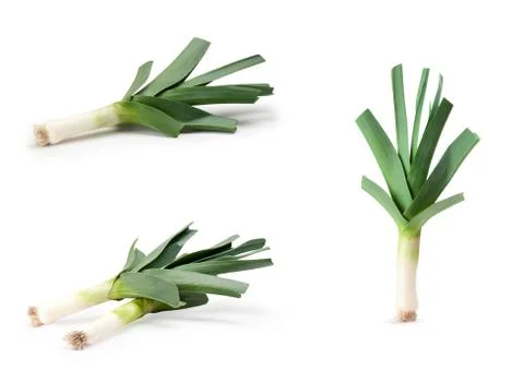 Leeks on a white background Stock Photos