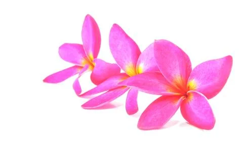 Leelawadee Stock Photos