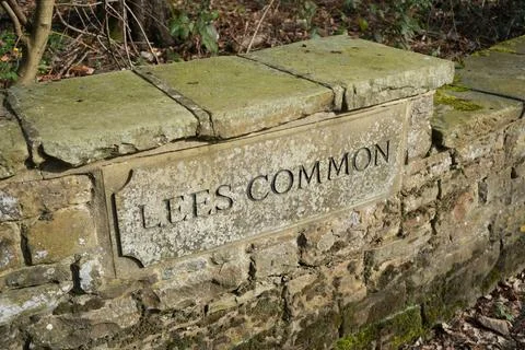 Lees Common Engraved Name On Mossy Stone Wall, Barlow, North East Derbyshire, Stock-Fotos