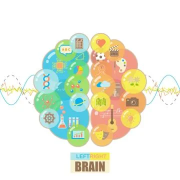 Left and right brain bubbles concept Stock Illustration