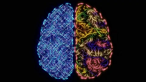 Left and right brain concept Stock Footage 165199157