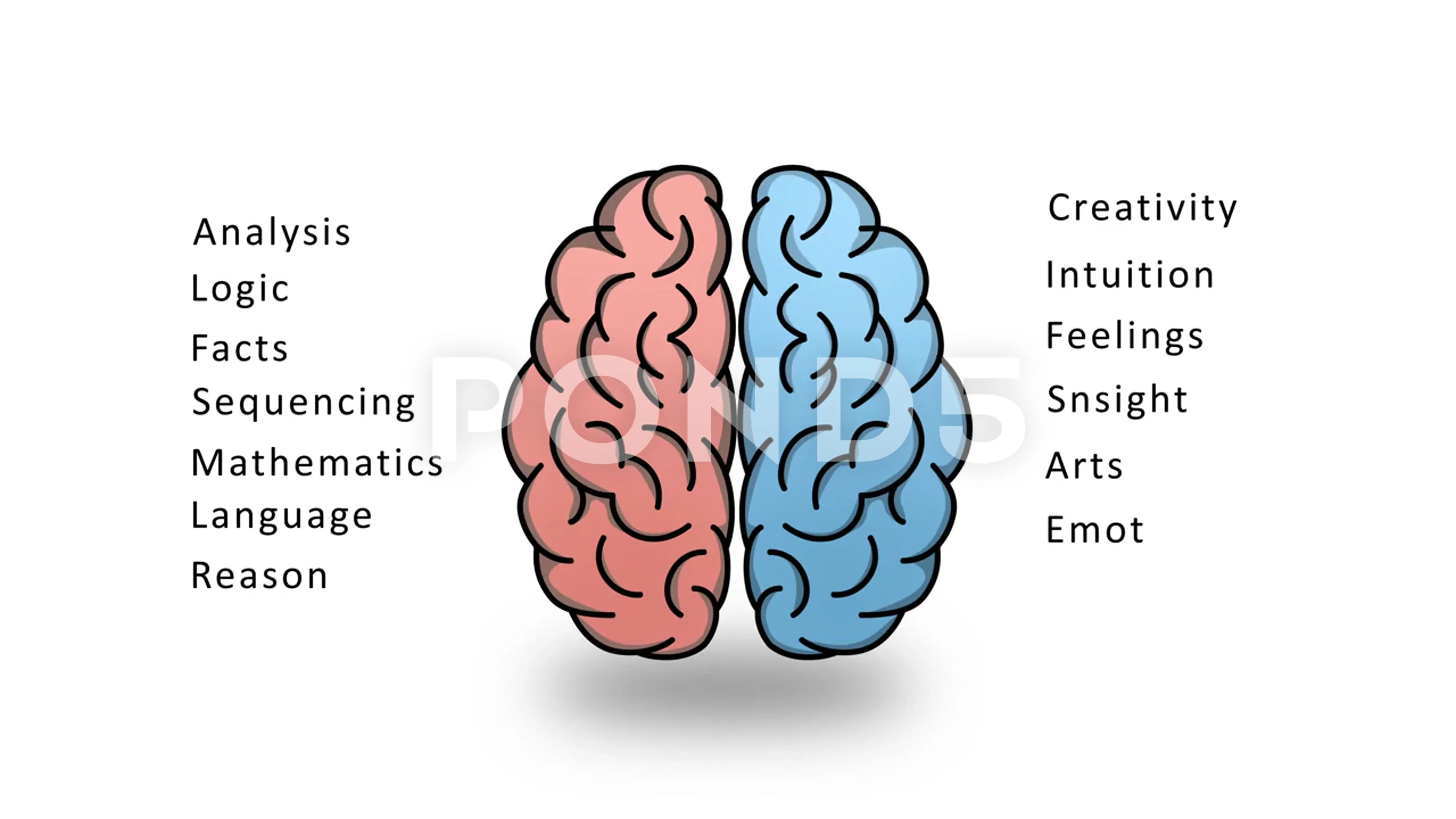 left brain diagram